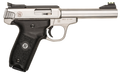 294542294.png