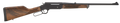 294543488.png
