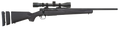 294543717.png