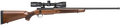 294543802.png