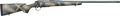 294543829.png