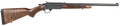 294544176.png