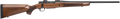 294544298.png