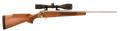 294544861.png