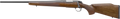 294545180.png