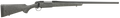294545241.png