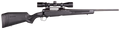 294545278.png