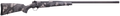 294545293.png
