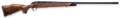 294545504.png
