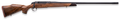 294546311.png