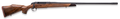 294546482.png