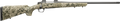 294546653.png