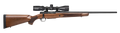 294547025.png