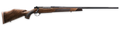 294547221.png