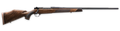 294547449.png