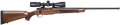 294547822.png