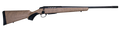 294547831.png