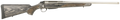 294548061.png