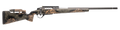 294548325.png