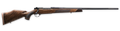 294548374.png
