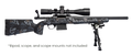 294548456.png