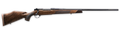 294548947.png