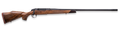 294549011.png