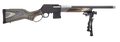 294549262.png