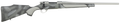 294549292.png