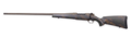 294549493.png