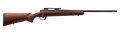 294550061.png