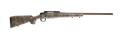 294550175.png
