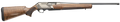 294550182.png
