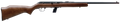 294550371.png