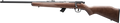 294550392.png