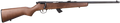 294550399.png