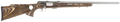 294550423.png