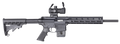 294550485.png