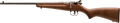 294550511.png