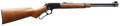 294550516.png