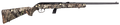 294550553.png