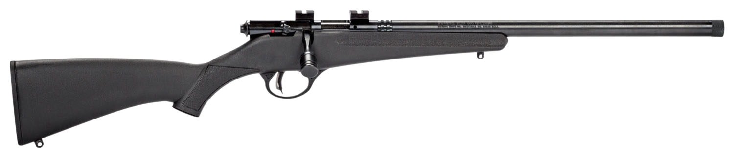 294550562.png