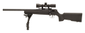 294550583.png
