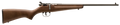 294550592.png