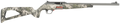 294550667.png