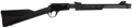 294550668.png