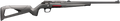 294550682.png