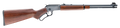 294550697.png