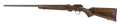 294550716.png