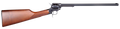 294550724.png